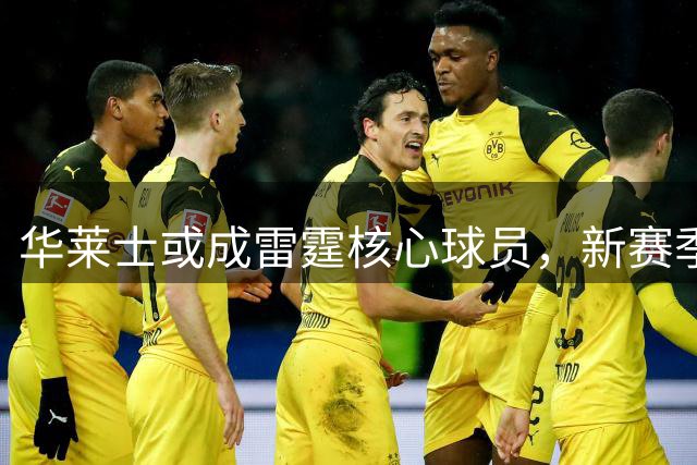 华莱士或成雷霆核心球员，新赛季有望冲击顶薪