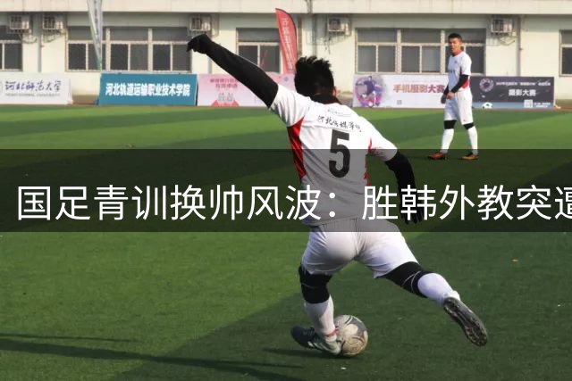 国足青训换帅风波：胜韩外教突遭解职 本土少帅接掌U16引质疑